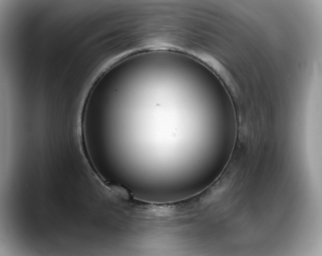 X0000088921191200706081354