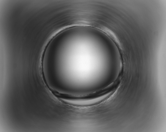 X0000088921192200706081354