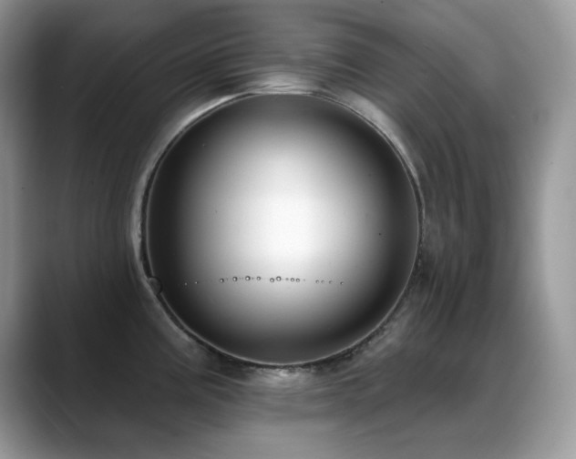 X0000088921195200706081354