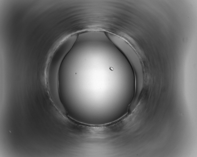 X0000088921196200706081354