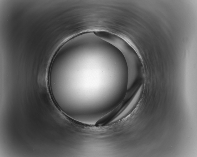 X0000088921197200706081354