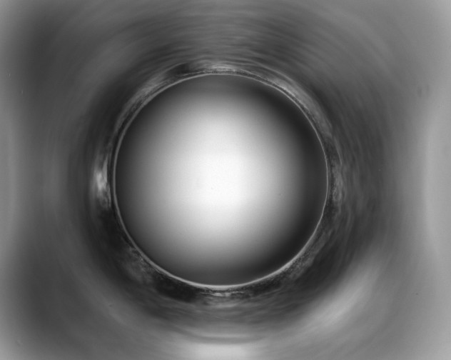 X0000088921198200706081354