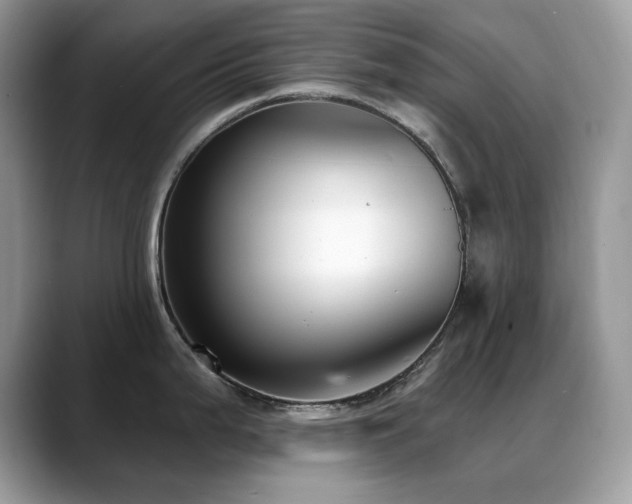 X0000088921199200706081354