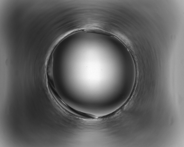 X0000088921200200706081354