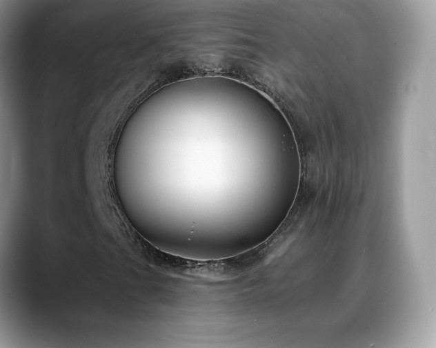X0000088921201200706081353