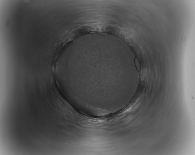 X0000088921202200706081353