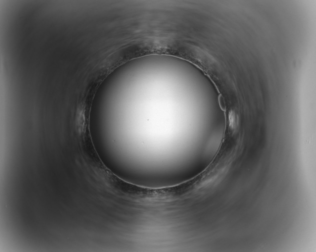 X0000088921203200706081353