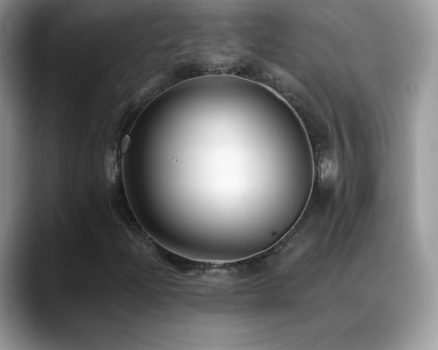 X0000088921204200706081353