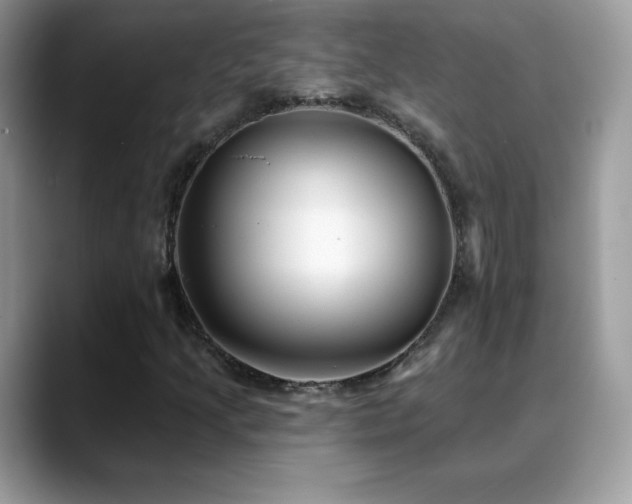 X0000088921205200706081353