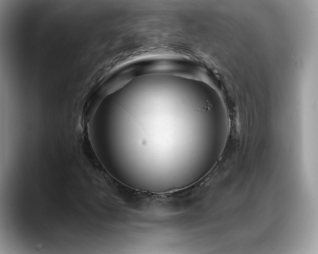 X0000088921206200706081353