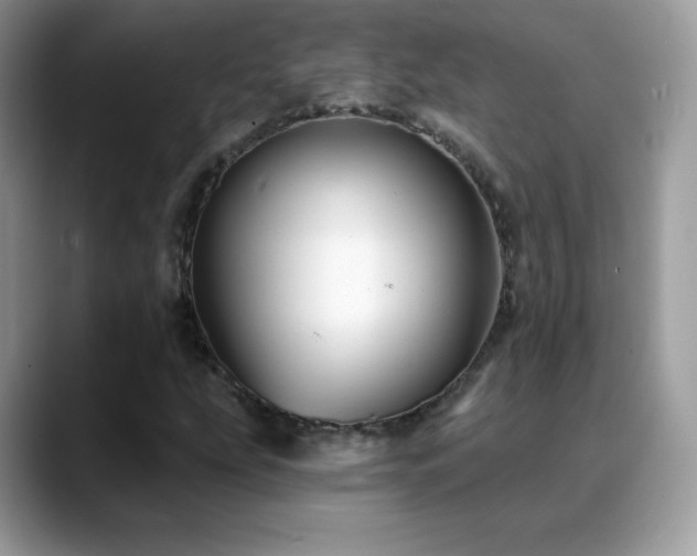X0000088921207200706081353