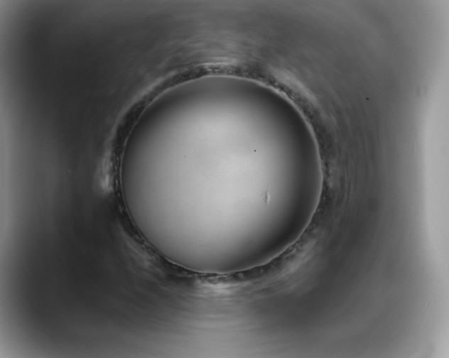 X0000088921208200706081353