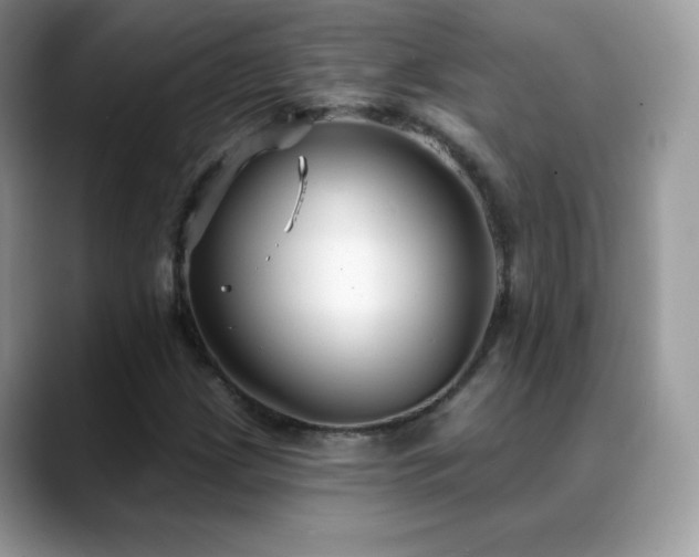 X0000088921209200706081353