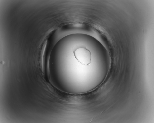 X0000088921210200706081353