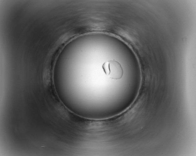 X0000088921211200706081353