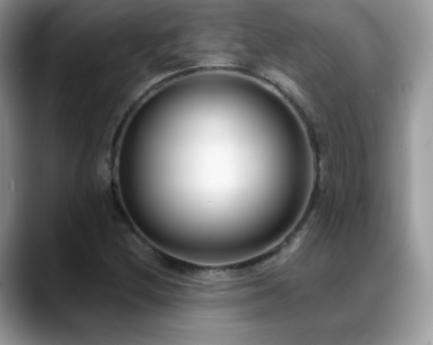 X0000088921212200706081353