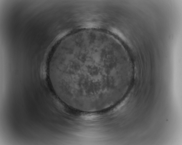 X0000088921213200706081353