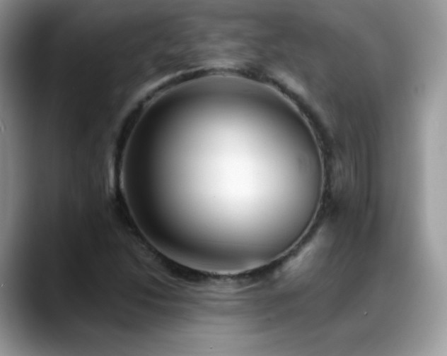 X0000088921214200706081353