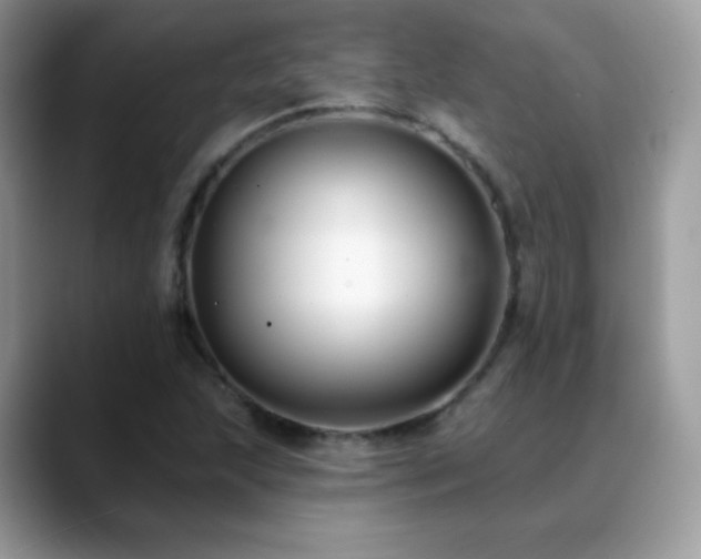 X0000088921215200706081353