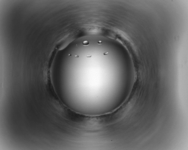 X0000088921217200706081353