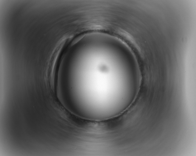 X0000088921218200706081353