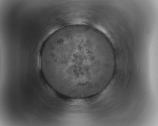 X0000088921219200706081353