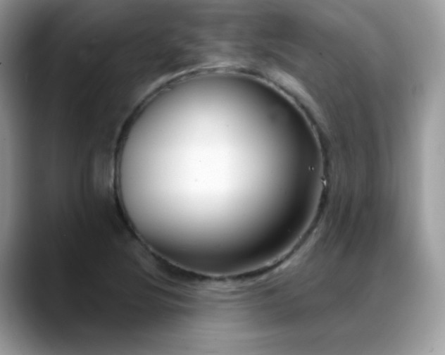 X0000088921220200706081353