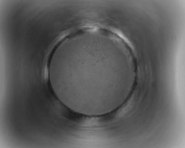 X0000088921221200706081353