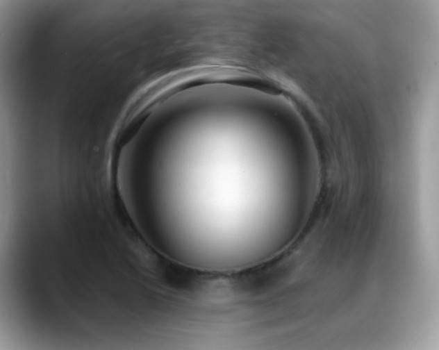 X0000088921222200706081353