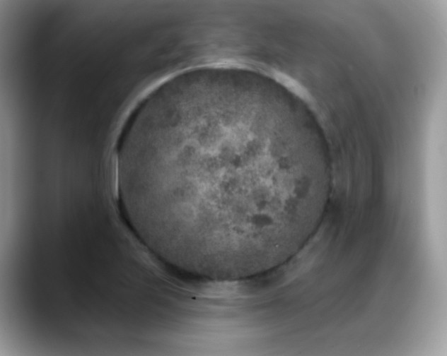 X0000088921223200706081353