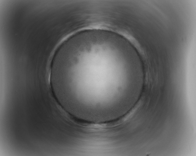 X0000088921224200706081353