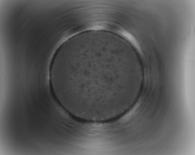 X0000088921226200706081353