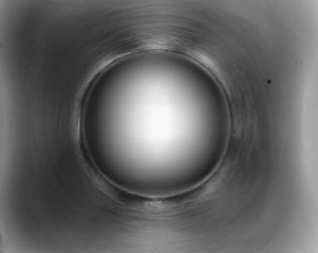 X0000088921227200706081353