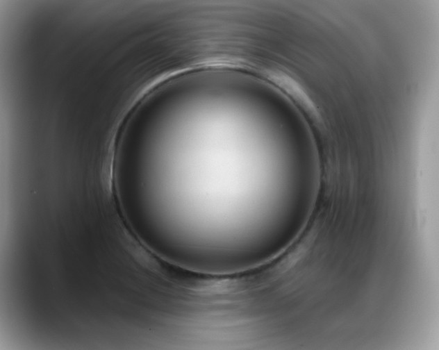X0000088921228200706081353