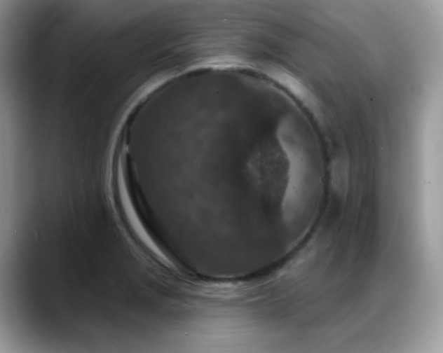 X0000088921229200706081353