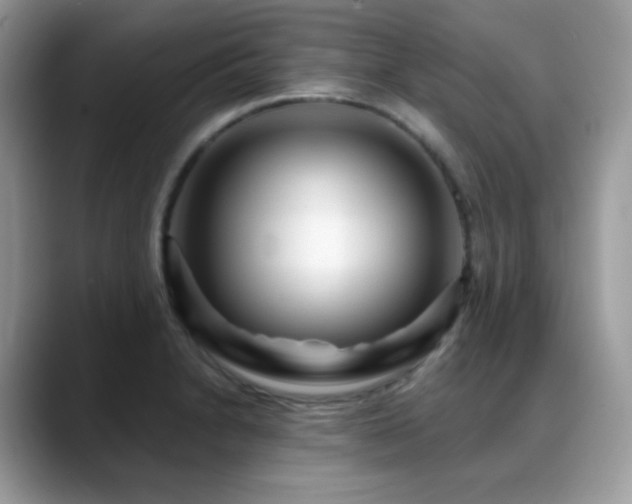 X0000088921230200706081353