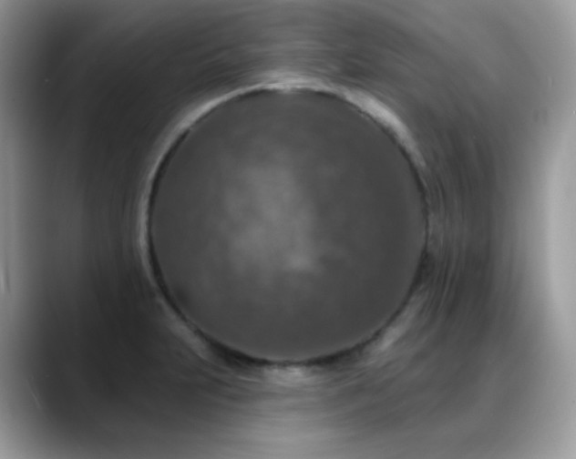X0000088921231200706081353