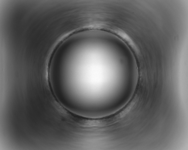 X0000088921232200706081353
