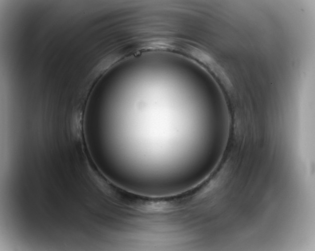 X0000088921233200706081353