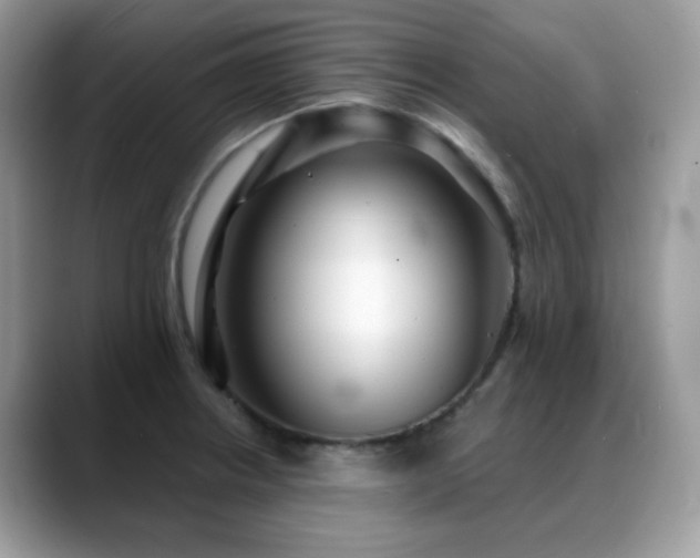 X0000088921234200706081353