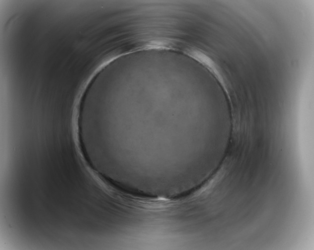 X0000088921235200706081353