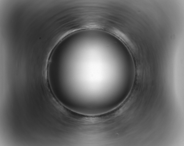 X0000088921236200706081353