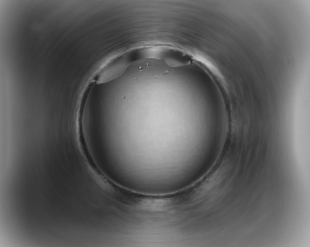 X0000088921237200706081353