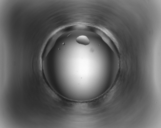 X0000088921238200706081353