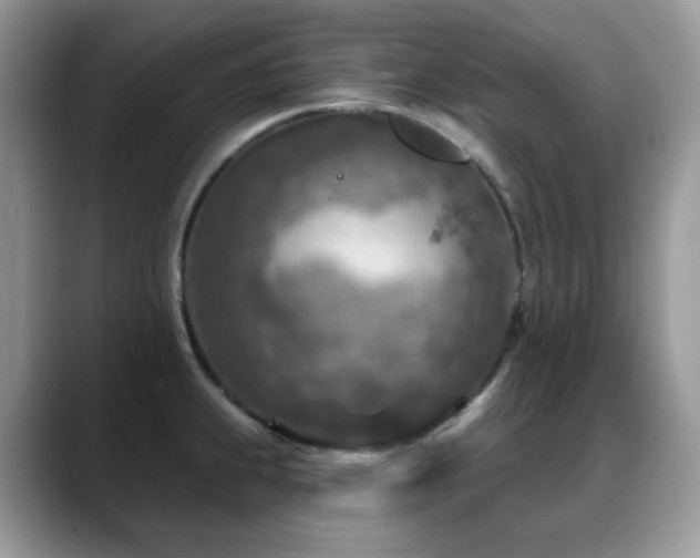 X0000088921239200706081353