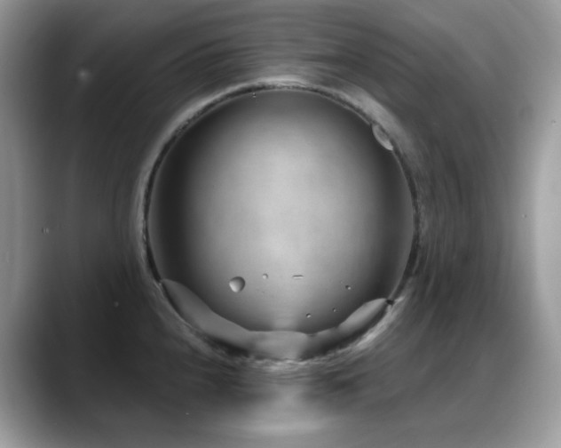 X0000088921240200706081353