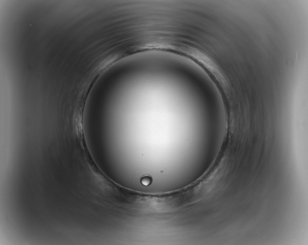 X0000088921241200706081353