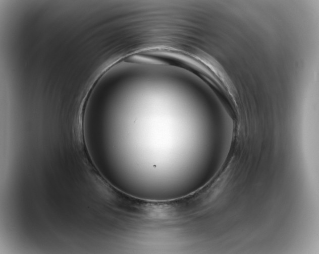 X0000088921242200706081353