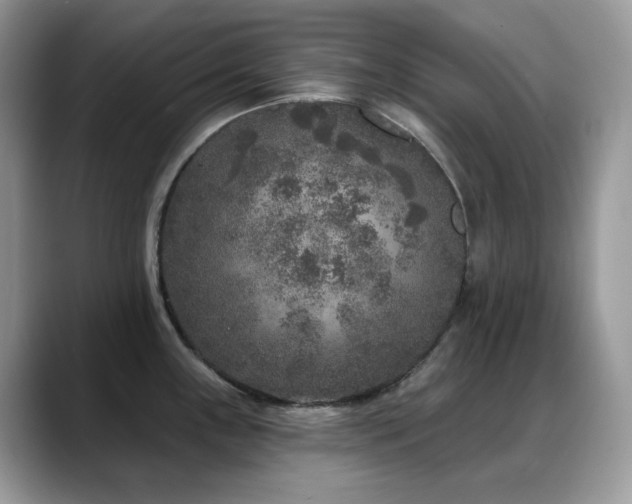 X0000088921243200706081353