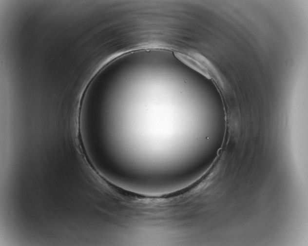 X0000088921244200706081353